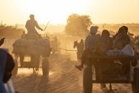 Épidémie de choléra au Soudan : 33 millions de vies en danger
