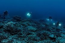 Décolonisation&nbsp;: l’histoire inachevée des derniers peuples sous tutelle
