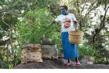 Les Africains en première ligne face à la crise de la biodiversité
