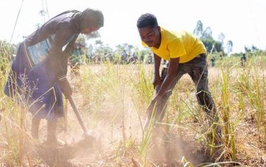 Afrique australe : des millions de personnes menacées par la faim alors que la période de soudure démarre
