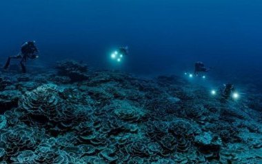 Décolonisation&nbsp;: l’histoire inachevée des derniers peuples sous tutelle
