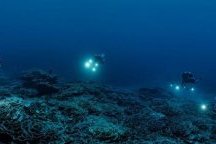 Décolonisation&nbsp;: l’histoire inachevée des derniers peuples sous tutelle
