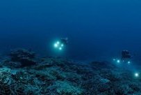 Décolonisation&nbsp;: l’histoire inachevée des derniers peuples sous tutelle
